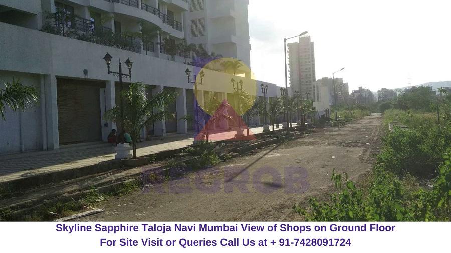 Skyline Sapphire Taloja Navi Mumbai