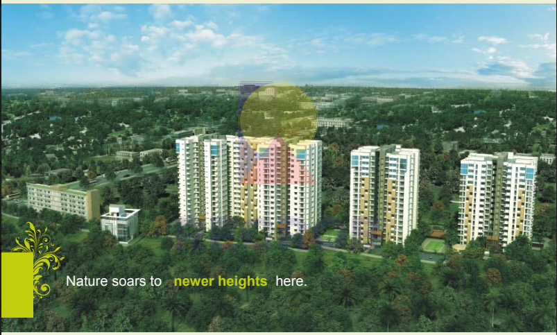 3 BHK Apartment for Sale in DN OXYPARK