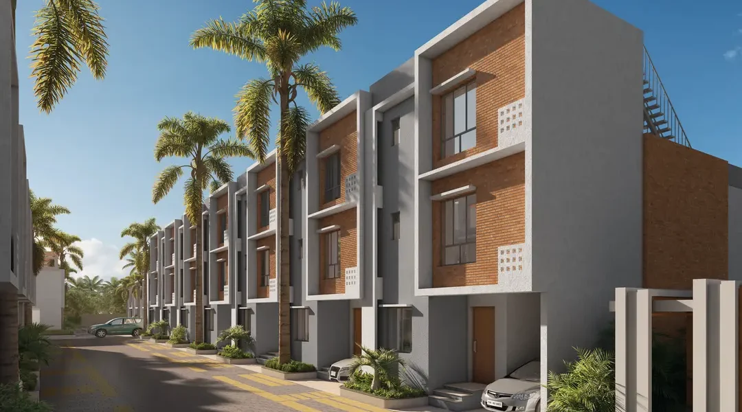 DTC Palm Grove